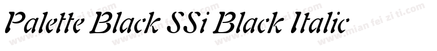 Palette Black SSi Black Italic字体转换